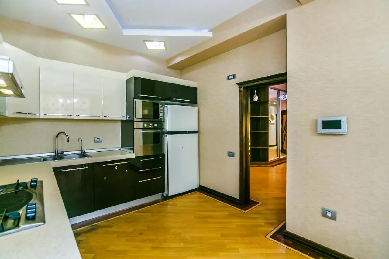 Luxury Apartment Nizami Street Baku